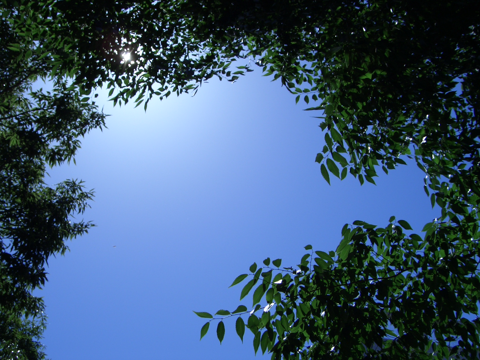 �w�Z�̒���ɂ�